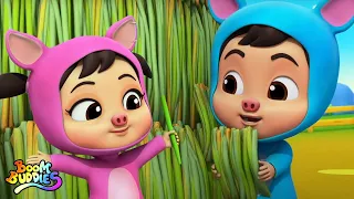 Los tres cerditos cuentos en español para niños de Boom Buddies