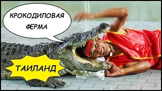 КРОКОДИЛОВАЯ ФЕРМА 🐊 (Паттайя, Таиланд)