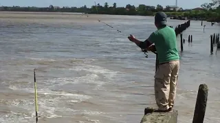 Suriname Fishing for catfish