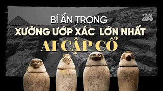 Bí ẩn trong xưởng ướp xác lớn nhất Ai Cập cổ | VTV24