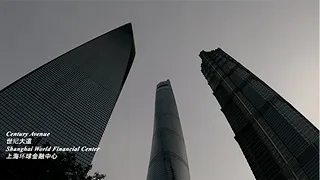 Century Avenue - Lujiazui - Pudong - Shanghai, China | 世纪大道 - 陆家嘴 - 浦东 - 中国上海