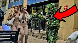 Bushman Prank: We all fell down!!Funniest Bushman Moment Ever!