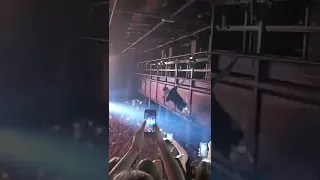 Oki skacze z balkonu w tłum *koncert Kraków*