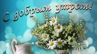 Доброе утро ☀️ Хорошего дня и отличного настроения 🌼🌼🌼