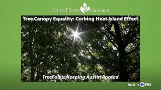 Planting for Tree Equality and Heat Island Effect: TreeFolks