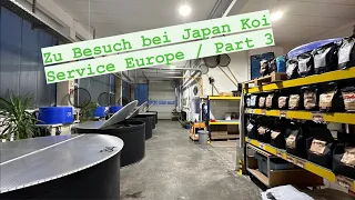 Japan Koi Service Europe! Ein Einblick in Matthew‘s Aufzucht Projekt sowie Futtermittel Vertrieb!