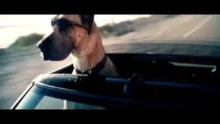 Marmaduke trailer