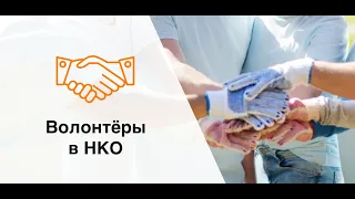 Как НКО работать с волонтерами и добровольцами.