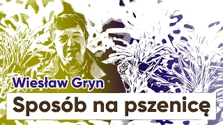 Wiesława GRYNA sposób na PLON pszenicy | e-pole do popisu #42