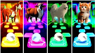 Funny Horses 🆚 Funny Cow 🆚 Funny Doge 🆚 Funny Cat.Who In The Best👍Coffin Dance🔥🔥