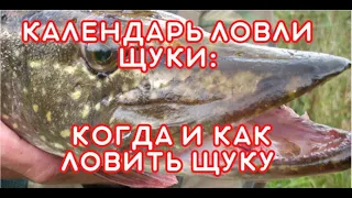 Календарь ловли щуки Когда и как ловить щуку