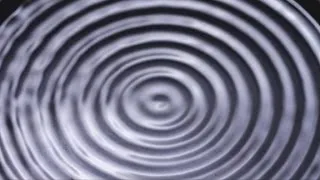 You have to see these sound waves