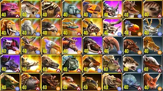 ALL EVOLUTIONS ALL CENOZOIC MAX LV 40 PVP BATTLE (MAX FULL) | JURASSIC WORLD THE GAME