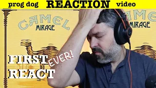 First React to Camel | Lady Fantasy     (reaction ep. 169)