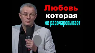 Любовь, которая не разочаровывает   Александр Шевченко