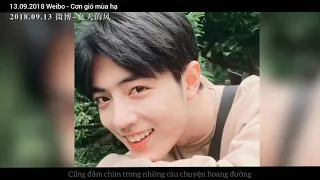 【Vietsub FMV Bác Quân Nhất Tiêu】Nổi gió rồi - Cơn gió mùa hạ / 起风了-夏天的风