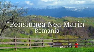 Pensiunea Nea Marin Guesthouse in Magura, Romania
