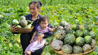 Harvesting Pumpkin Garden Goes To Market Sell - Cooking | Lý Phúc An