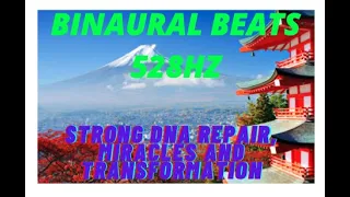 Strong DNA Repair, Miracles and Transformation : Solfeggio Tonal Music 528HZ