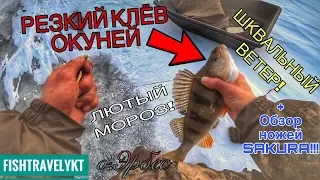 ВЫПУСК№9(ОКУНЬ В ЛЮТЫЙ МОРОЗ!!!) - ЛОВЛЯ КРУПНОГО ОКУНЯ НА БЛЕСНУ!!!СУРОВАЯ РЫБАЛКА ЯКУТИИ!!