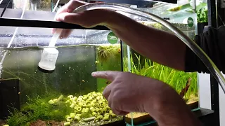 How I Do My Neo Water Changes!
