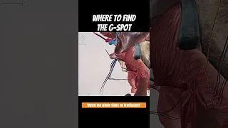 Easy guide for locating the G-Spot!