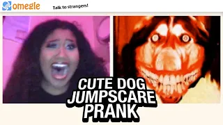 Cute Dog JUMPSCARE PRANK on Omegle #7!