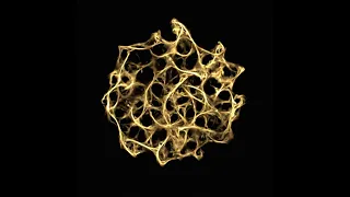 Soothing Slime Mold (Physarum) Simulation in Blender