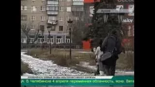 В Троицке алабай напал на трехлетнюю девочку  В Челябинской области каждую неделю фиксируются случаи