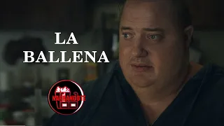 LA BALLENA (The Whale) En 8 minutos | Resumen