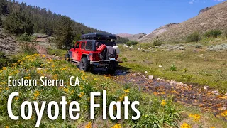 Coyote Flats - Funnel Lake - Eastern Sierra