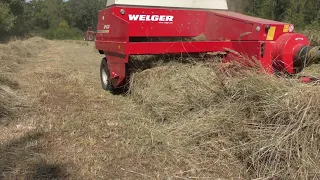 Welger AP630 Baling Hay in August 2019