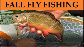 Fall Fly Fishing in a Mountain Lake - Fly Fishing for Brook Trout #flyfishing #fishing