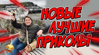 😂Я РЖАЛ ДО СЛЕЗ | ПРИКОЛЫ ЗА АПРЕЛЬ | FUNNY MOMENTS 2023 | 13 МИНУТ СМЕХА! | #408