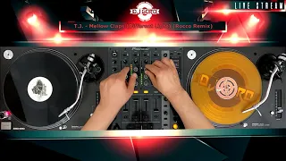 HANDS UP VINYL MEGAMIX - Mixed By DJ Goro