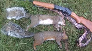 Small Game Hunting #30: 2 Gray Squirrels by .410 Shotgun