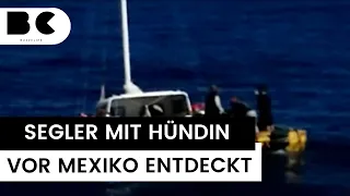 Schiffbrüchiger und Hündin nach zwei Monaten im Pazifik gerettet