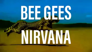 Bee Gees, Nirvana - Stayin’ Alive Remix (Smells Like Teen Spirit)