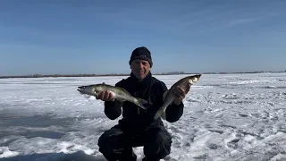 Один на льду ! Закрытие зимнего сезона !