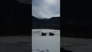 Всех с праздником Наурыз. Видео от Гульнары