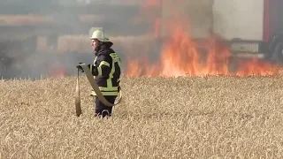 Die Nordreportage 2019: Der Kampf gegen die Trockenheit