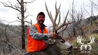 Famous Utah Henry Mountains Rifle Mule Deer