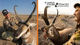 TWO Pronghorn Bucks in ONE DAY | Fresh Tracks Season 10!