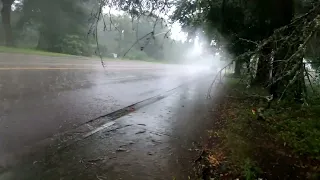 Walking In The Rain Pt2 Florida Heavy Rain Sound ASMR