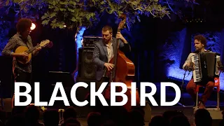 Blackbird (Paul McCartney)