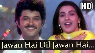 Jawan Hai Dil Jawan Hai (HD) - Saaheb Song - Anil Kapoor - Amrita Singh