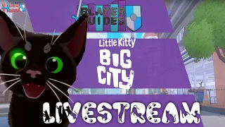 Little Kitty, Big City Livestream
