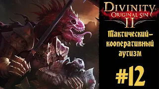 Кооперативное прохождение Divinity Original Sin 2 #12