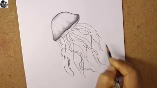 How to draw Jellyfish step by step | Pencil sketch Jellyfish | Himan Artists