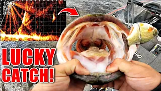 I Didn't Deserve to Catch this MONSTER Fish!! (LIVE Swimbait Eats on Panoptix)
